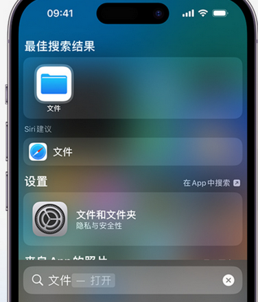 城西apple维修中心分享iPhone文件应用中存储和找到下载文件 