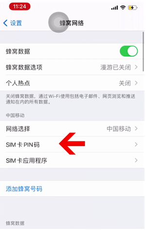 城西苹果14维修网分享如何给iPhone14的SIM卡设置密码 