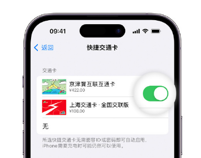 城西apple维修点分享iPhone上更换Apple Pay快捷交通卡手绘卡面 