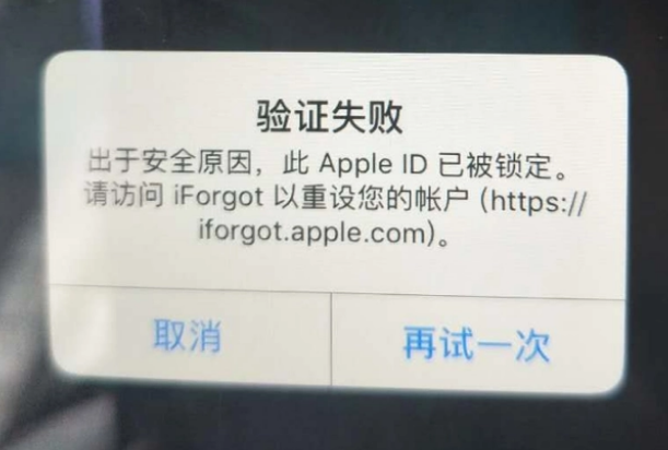 城西iPhone维修分享iPhone上正常登录或使用AppleID怎么办 