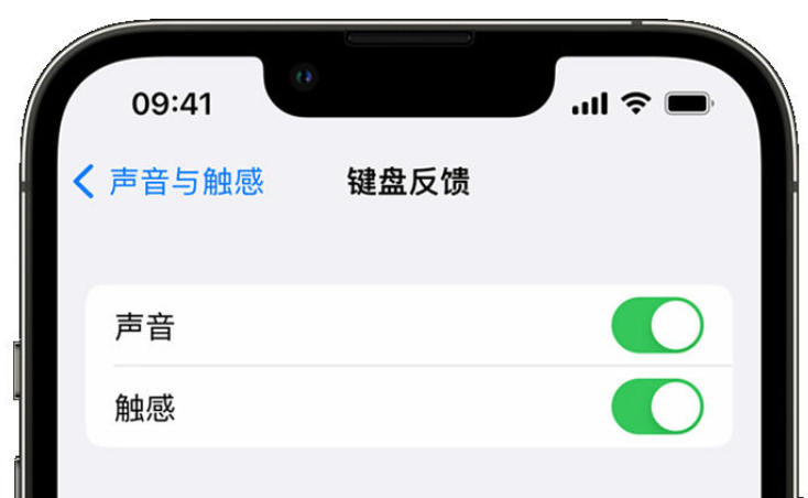 城西苹果手机维修分享iPhone 14触感键盘使用方法 