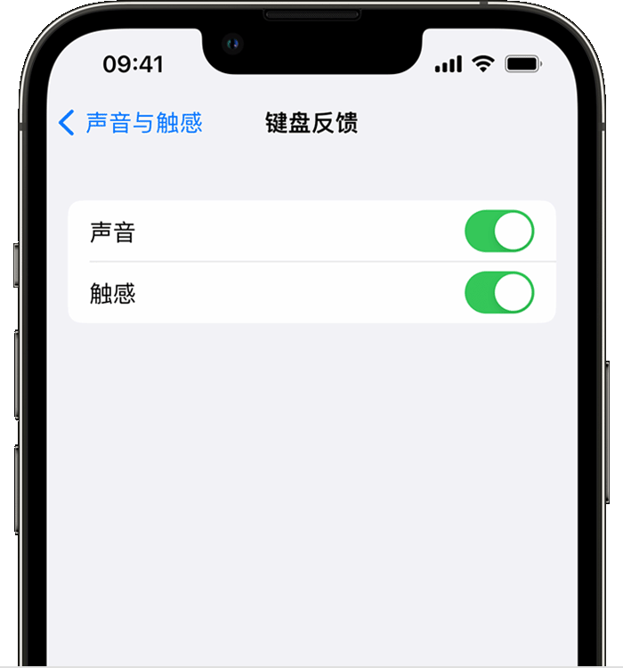 城西苹果14维修店分享如何在 iPhone 14 机型中使用触感键盘 