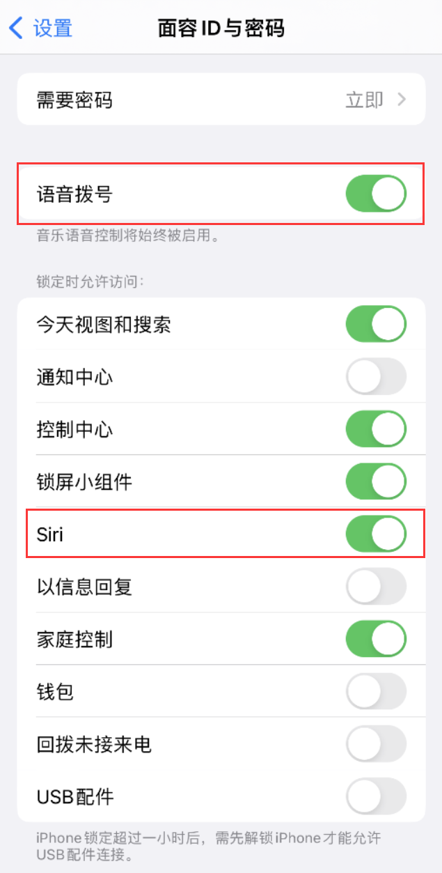 城西苹果维修网点分享不解锁 iPhone 的情况下通过 Siri 拨打电话的方法 