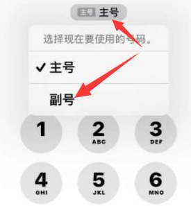 城西苹果14维修店分享iPhone 14 Pro Max使用副卡打电话的方法 