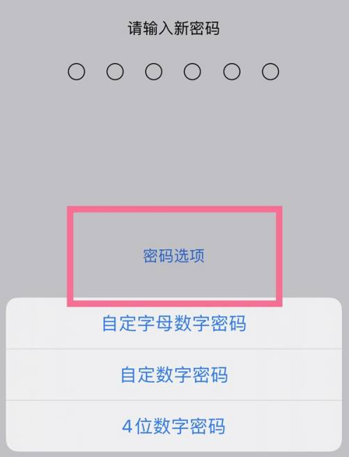 城西苹果14维修分享iPhone 14plus设置密码的方法 