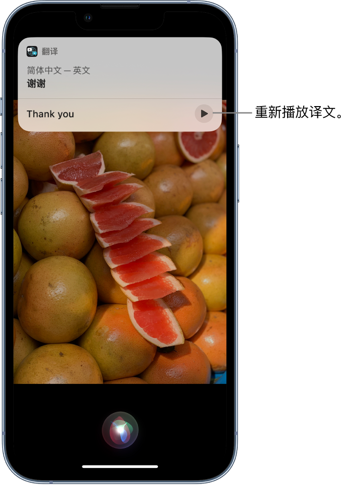 城西苹果14维修分享 iPhone 14 机型中使用 Siri：了解 Siri 能帮你做什么 