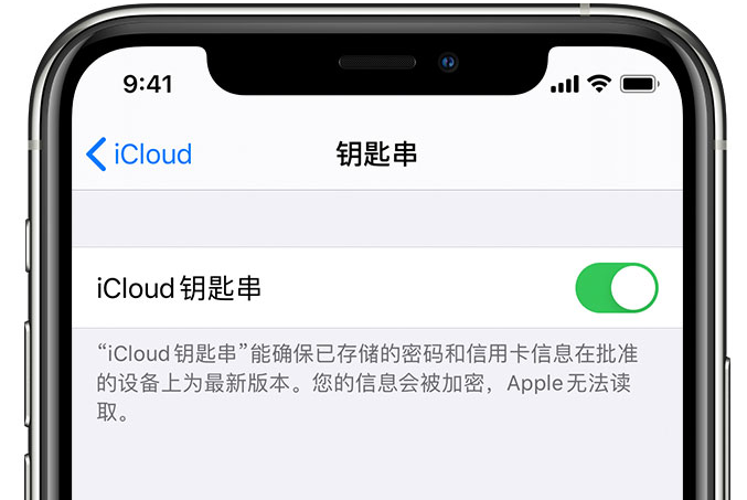 城西苹果手机维修分享在 iPhone 上开启 iCloud 钥匙串之后会储存哪些信息 